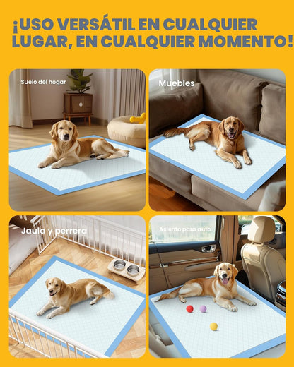 Paquete de 50 almohadillas extra grandes para orinar \u2013 34 x 28...
