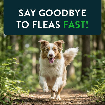 Novartis Capstar Verde para perros de más de 25 libras - 6 tabletas