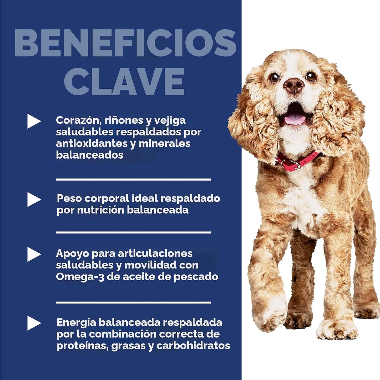 Alimentos secos para perros de raza pequeña y mini, de Hill\u2019s...