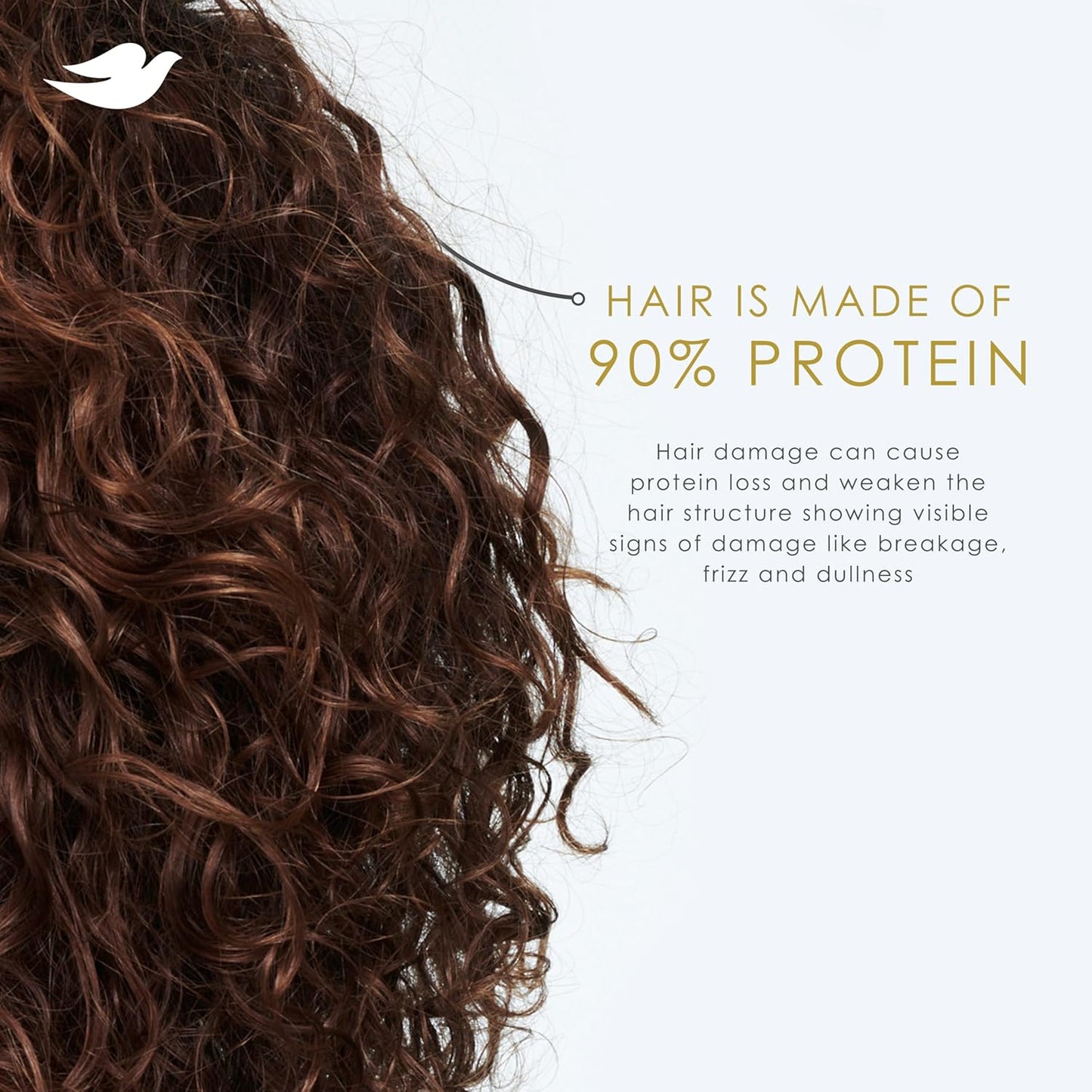 Dove Acondicionador de coco e hidratación para cabello seco con tecnología de cuidado de bio-proteínas y aceite de coco, 28 onzas líquidas