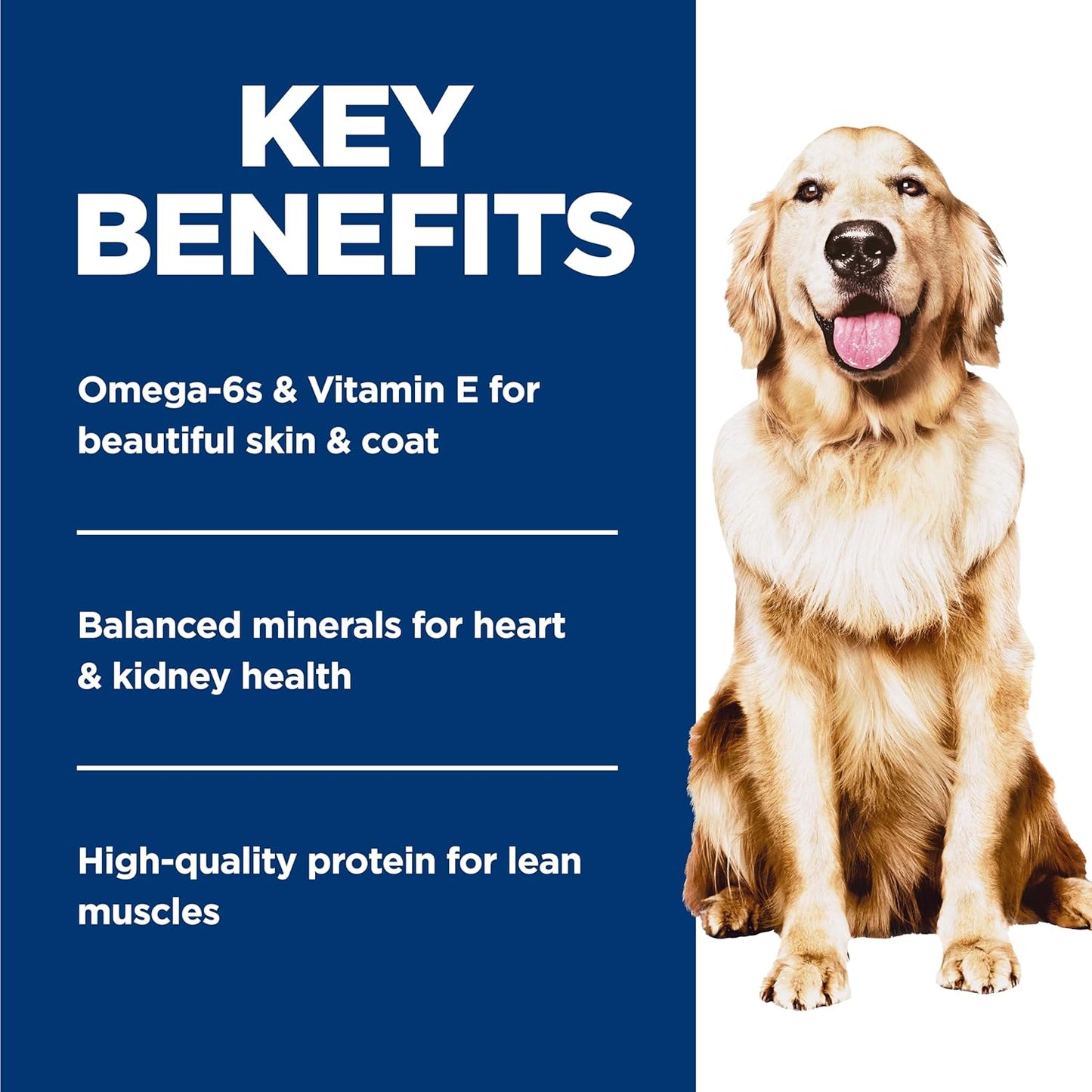 Hill's Science Diet Alimento húmedo para perros adultos con pes...