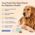 Pawfy Probióticos para perros | Apoya la salud digestiva, la diarre...