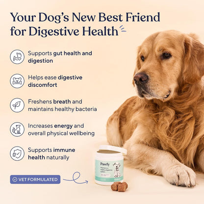 Pawfy Probióticos para perros | Apoya la salud digestiva, la diarre...