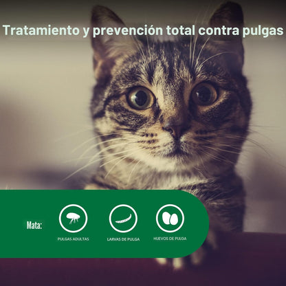 Advantage II Tratamiento y prevención de pulgas recomendado por vet...