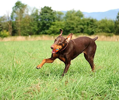 Chuckit! Juguetes de pelota ultra para perros con cubo de limpieza...
