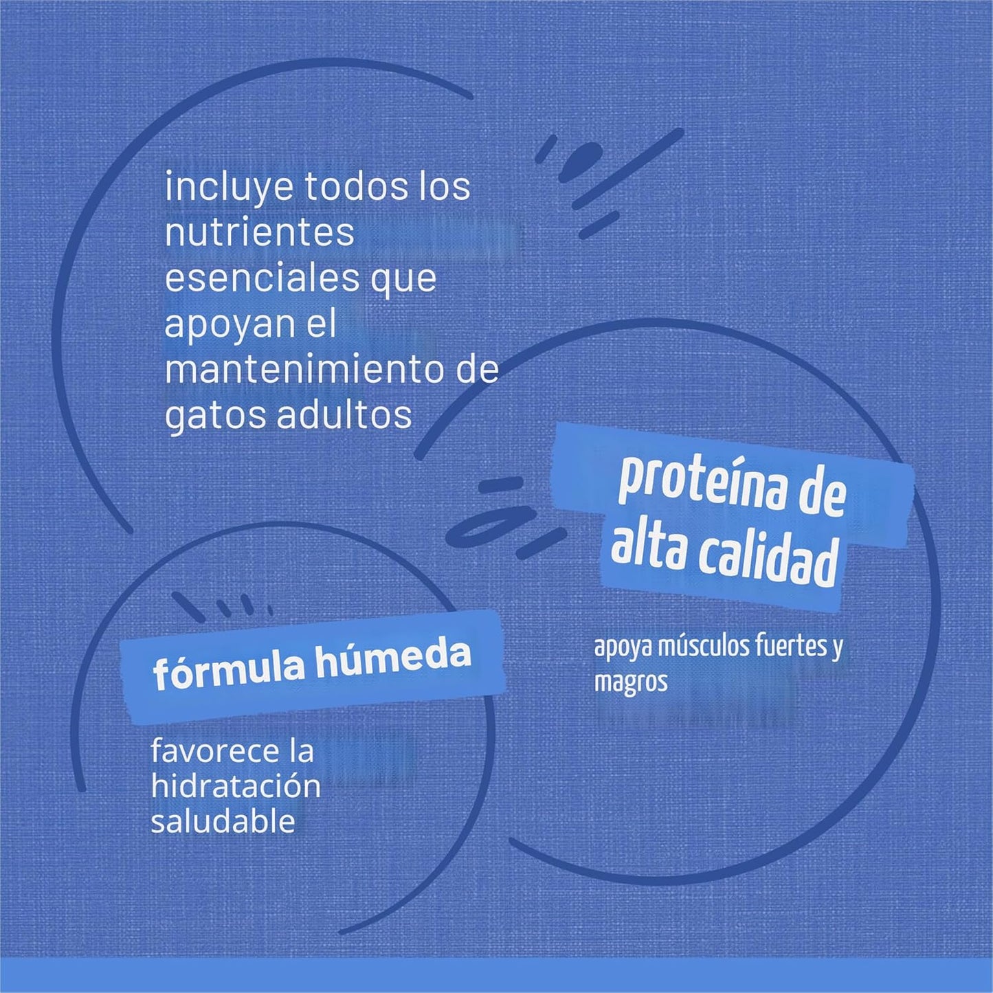 Purina Friskies Paquete Variado de Comida Húmeda para Gatos, Trozos...