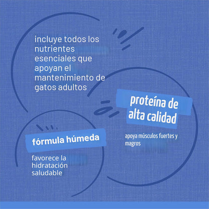 Purina Friskies Paquete Variado de Comida Húmeda para Gatos, Trozos...