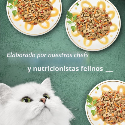 Purina Fancy Feast Paquete variado de alimentos húmedos para gatos,...