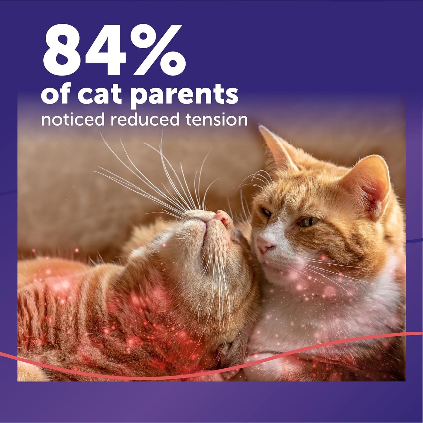 Feliway MultiCat (48 ml) Relleno de difusor | Armonía constante y c...