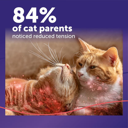 FELIWAY MultiCat - Kit de iniciación de difusor de feromonas calman...