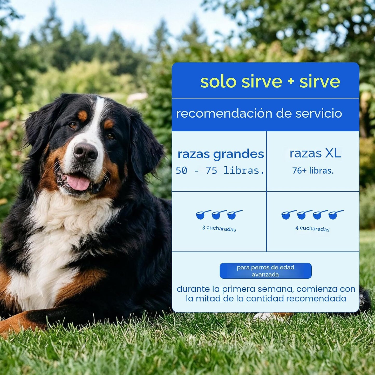 Native Pet Vitaminas y suplementos diarios para perros mayores \u20...