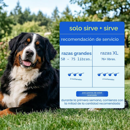 Native Pet Vitaminas y suplementos diarios para perros mayores \u20...