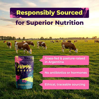 Primal Queen Suplemento superalimento de órgano de res optimizado p...