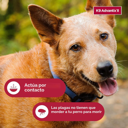 K9 Advantix II - Tratamiento y prevención veterinario recomendado p...