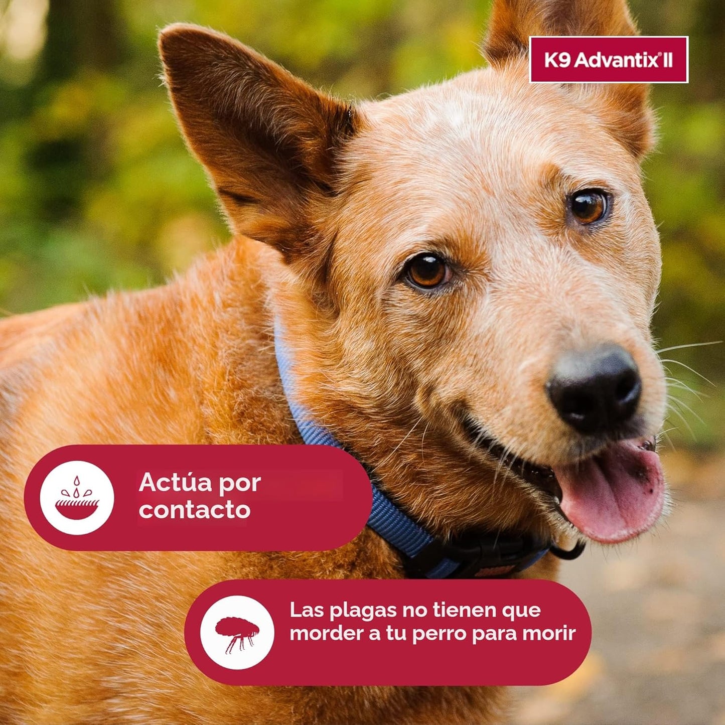 K9 Advantix II Tratamiento y prevención de pulgas, garrapatas y mos...