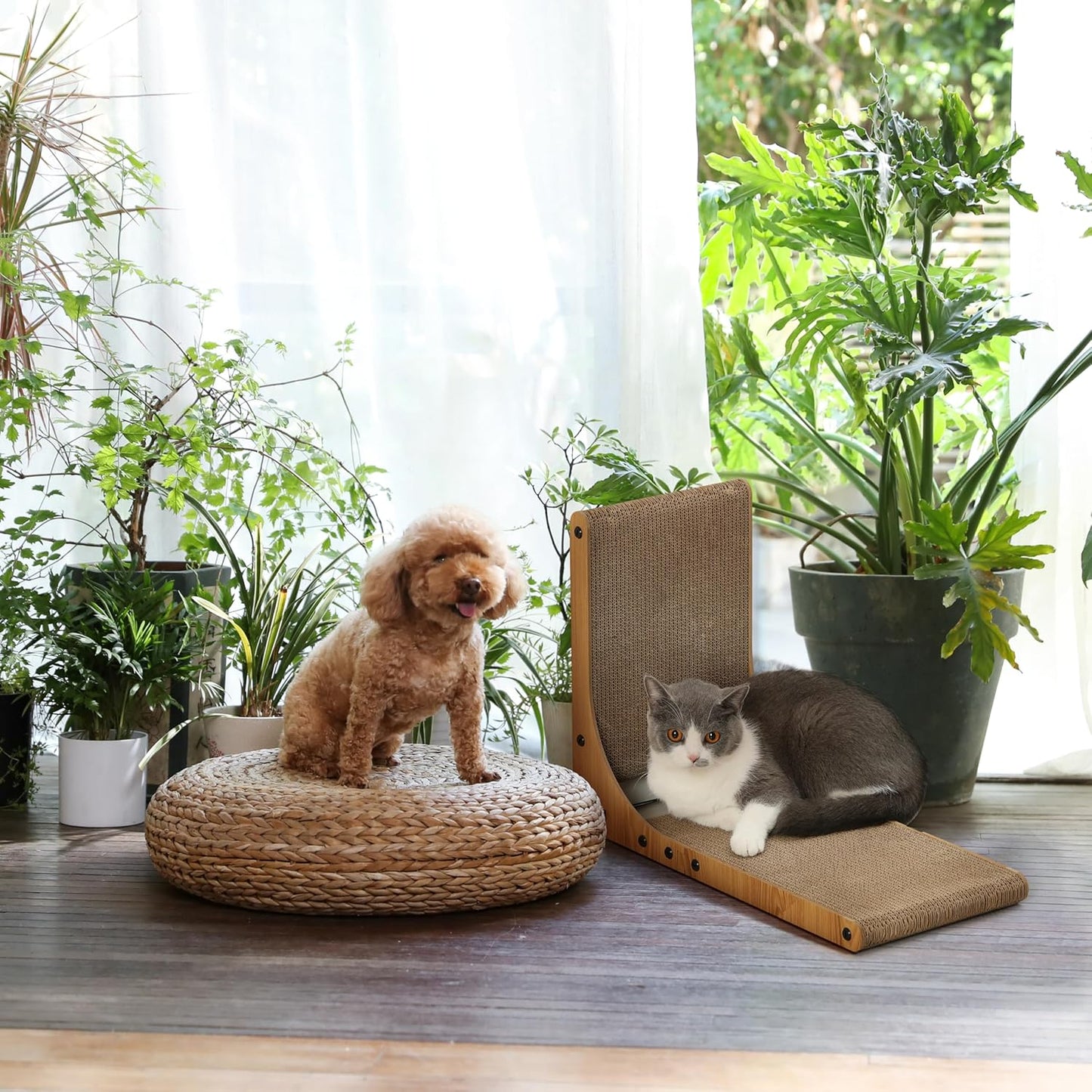 FUKUMARU Rascador para Gatos, Almohadilla de Rascar para Gatos en F...
