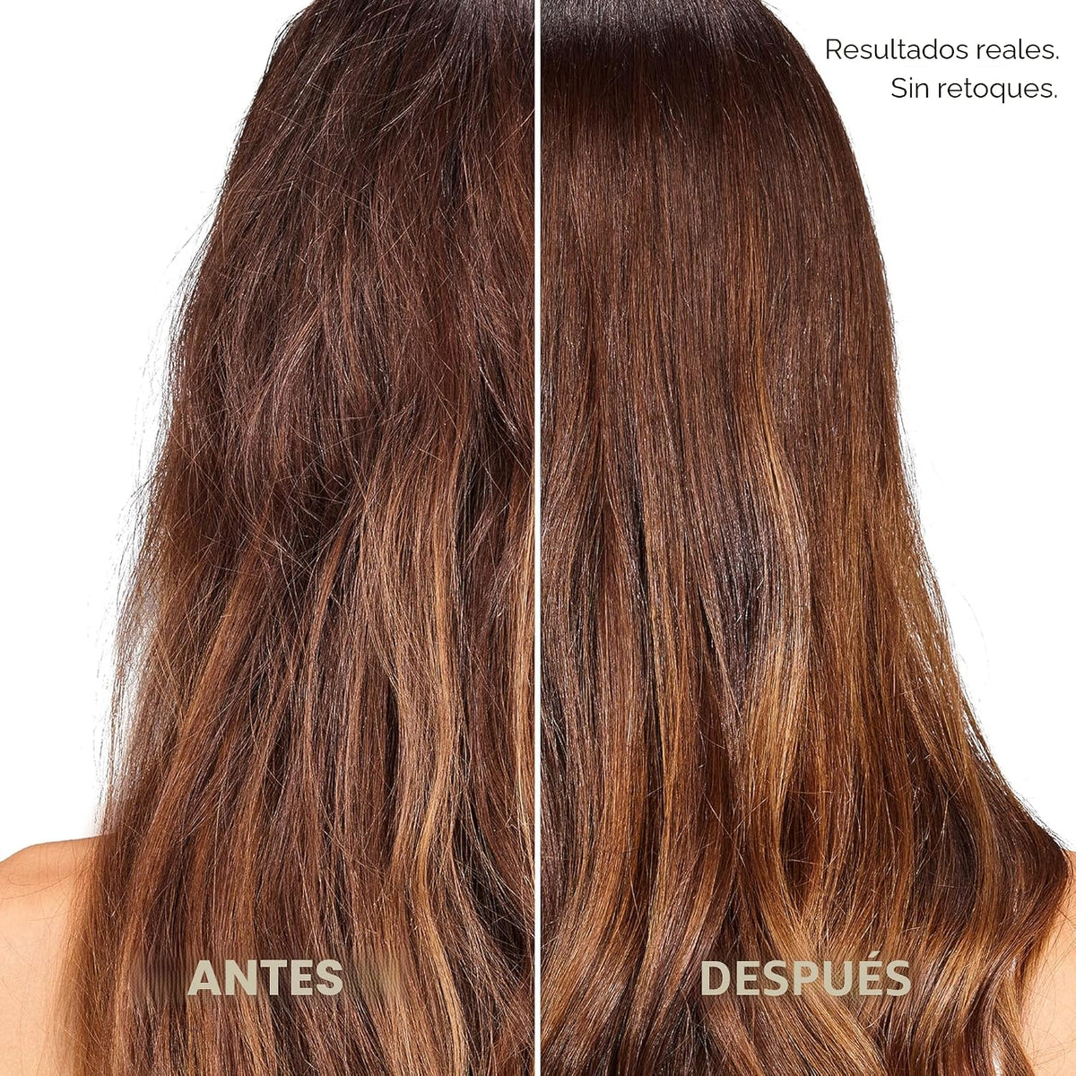 L'Oreal Paris Champú y acondicionador espesante sin sulfato, es...