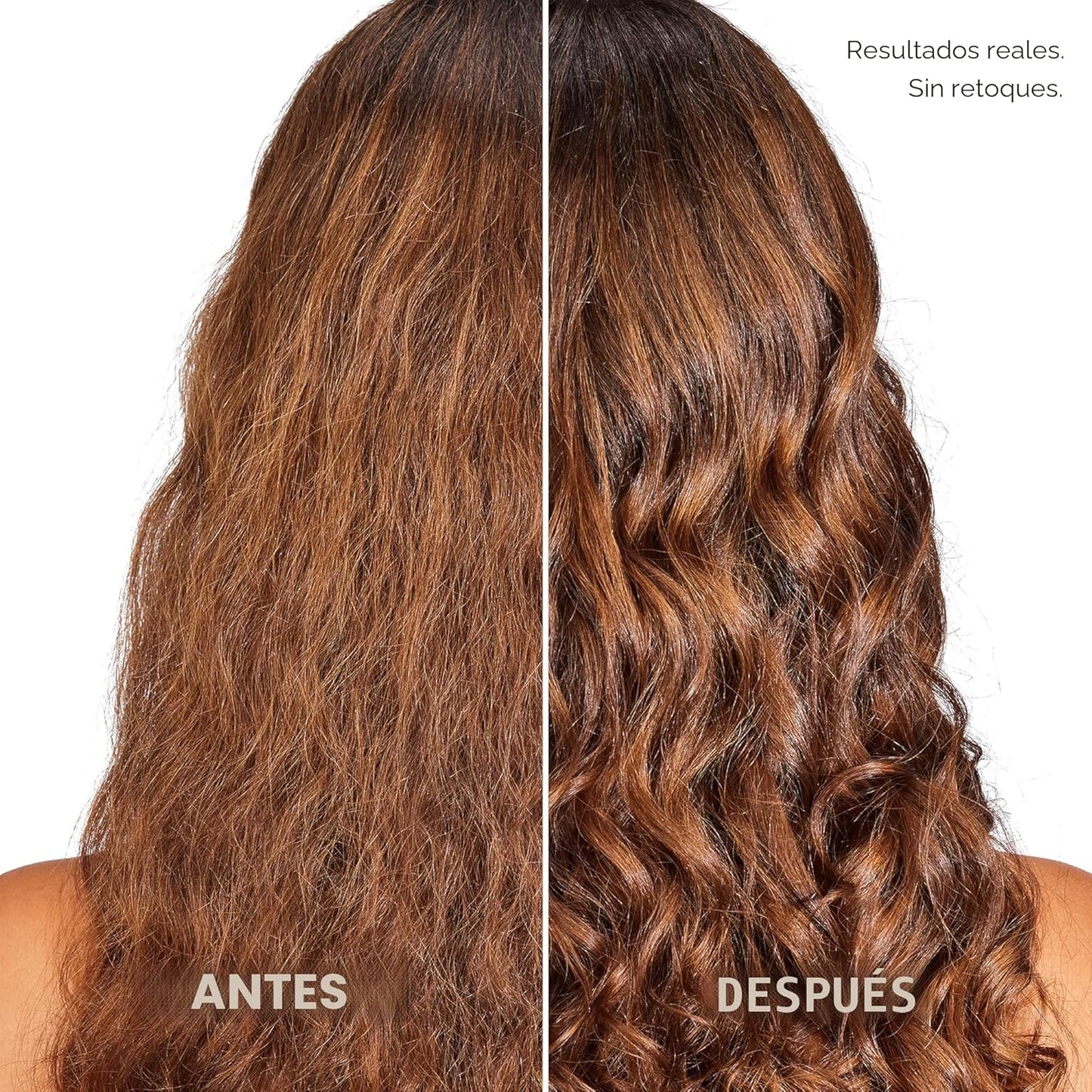 L'Oreal Paris Set de Champú y Acondicionador Hidratante Libre d...