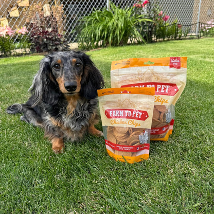 Farm To Pet - Golosinas de entrenamiento para perros - Chips de pol...