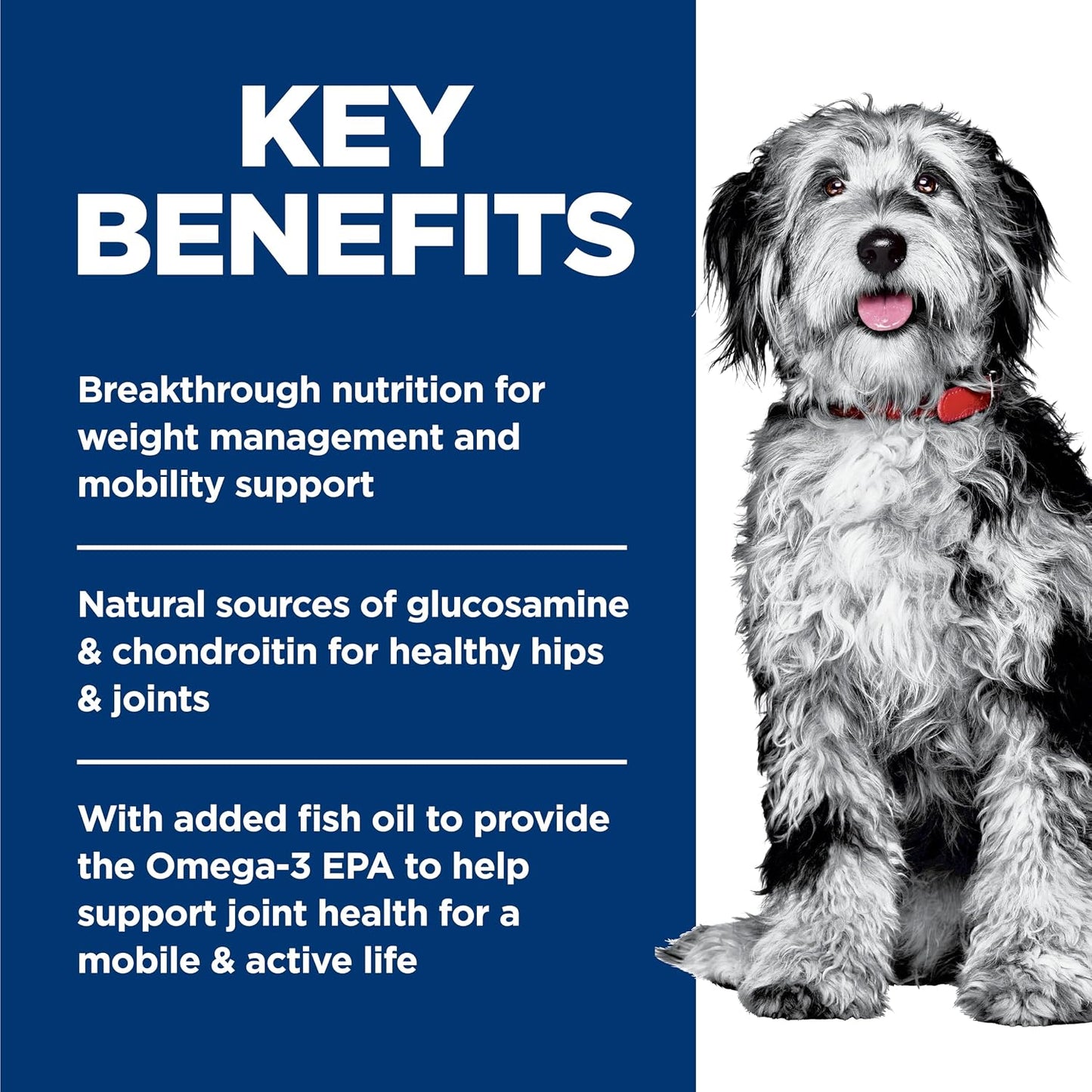Hill's Science Diet Perfect Weight, para perros adultos de 1 a...