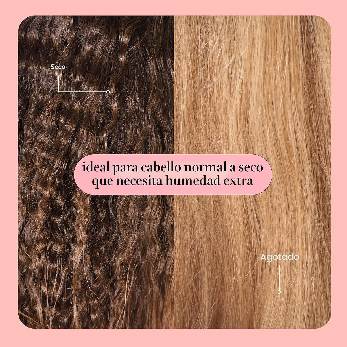 MONDAY HAIRCARE Champú hidratante + acondicionador de baño (2 unida...