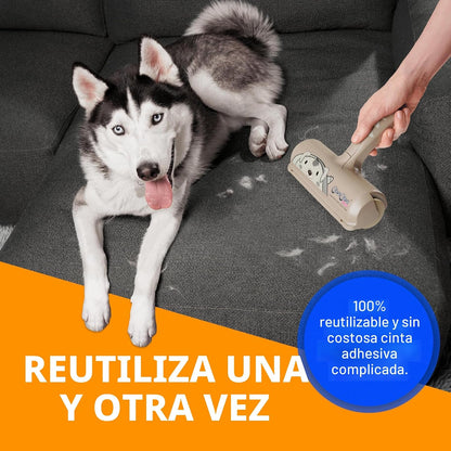 ChomChom Roller Removedor de pelo de mascotas \u2013 Rodillo de pel...