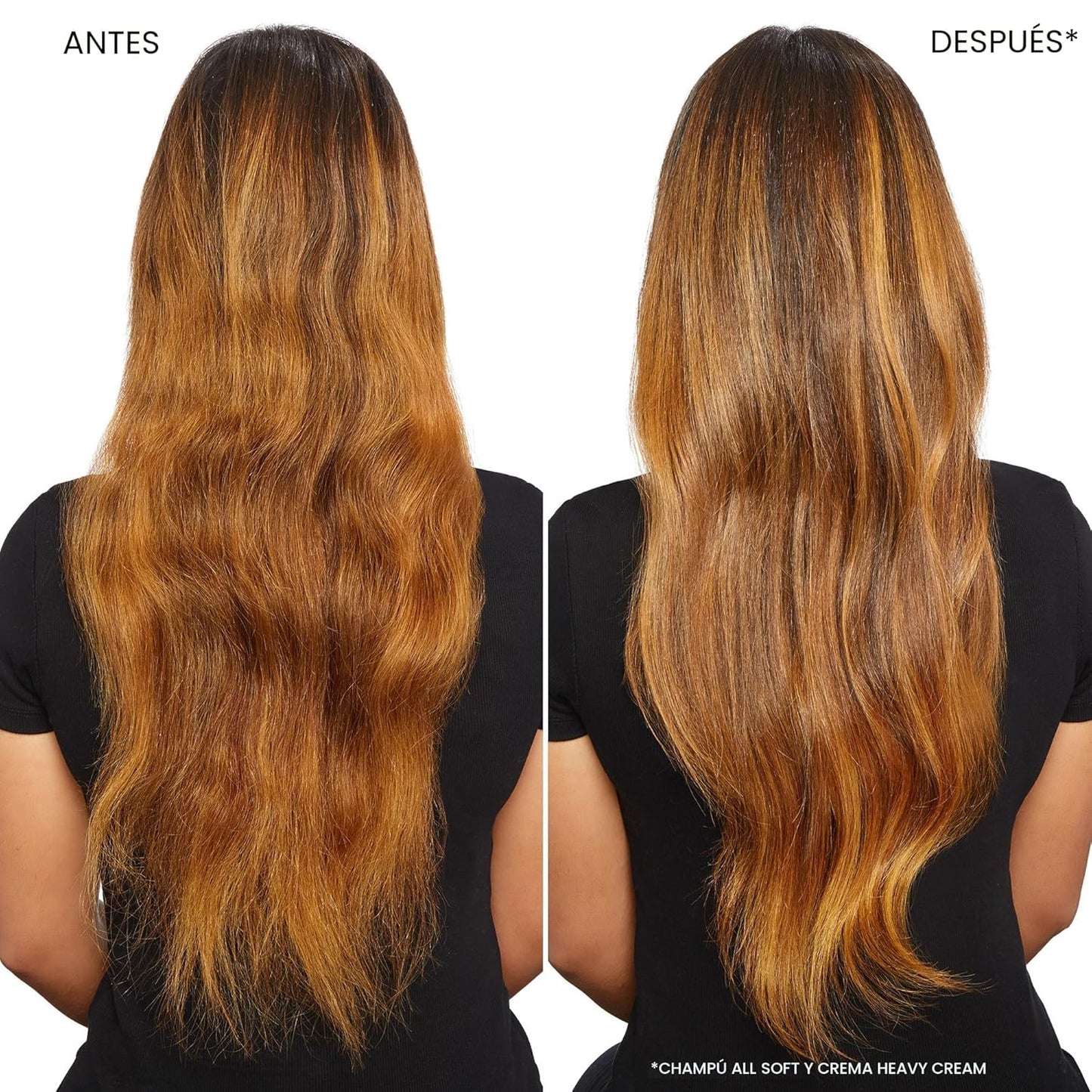 Redken All Soft Shampoo - Hidrata y nutre el cabello seco y quebrad...