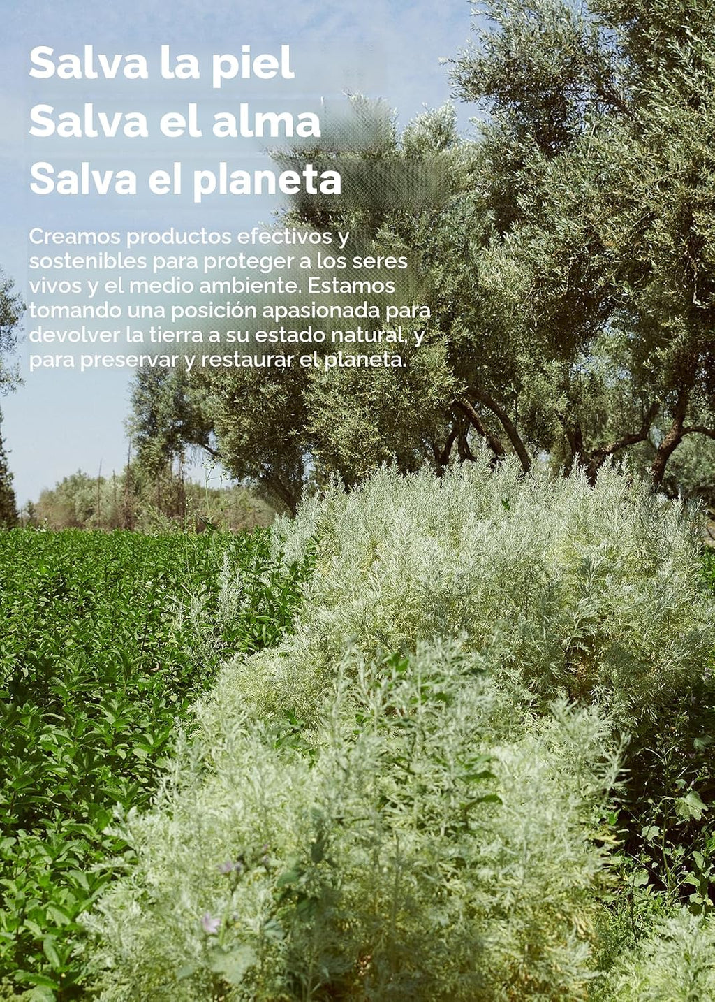 AROMATICA - Tratamiento capilar 3 en 1 con romero (5.4 onzas líquid...