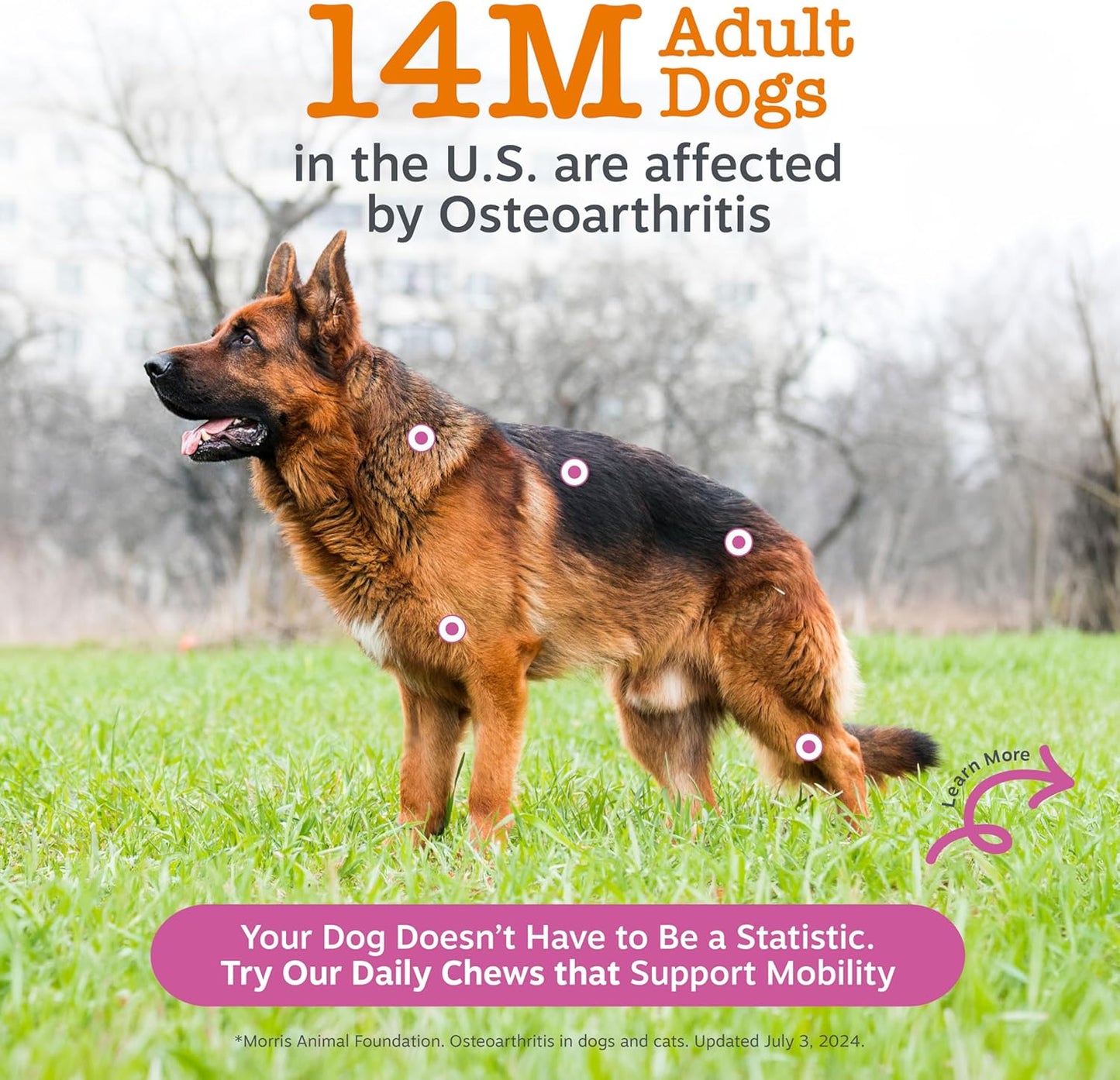 Zesty Paws Mobility Bites Suplemento para articulaciones de perro,...