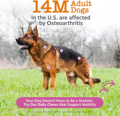 Zesty Paws Mobility Bites Suplemento para articulaciones de perro,...