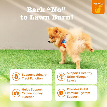 Zesty Paws Stay Green Bites for Dogs - Masticables suaves para quem...