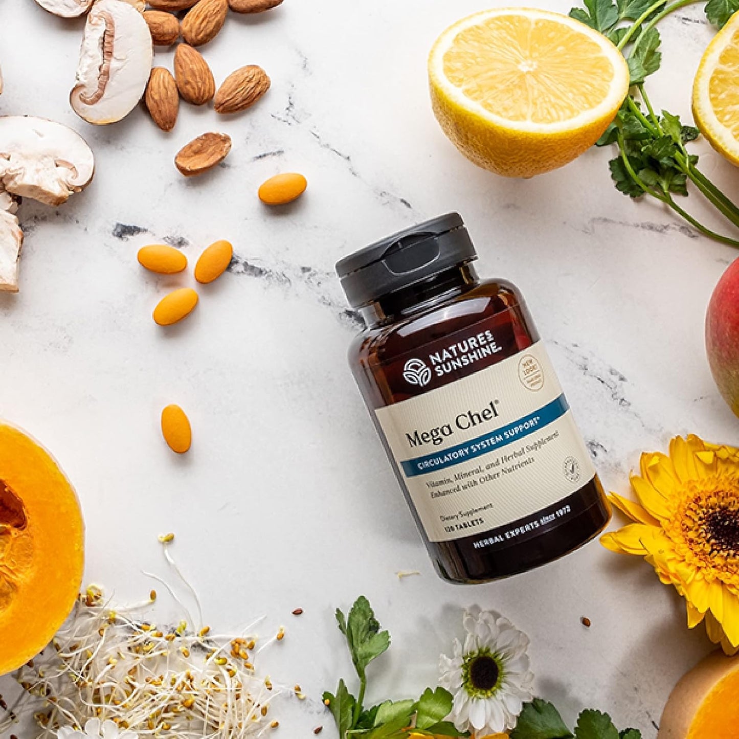 Nature's Sunshine Mega-Chel, 120 tabletas, vitamina completa co...