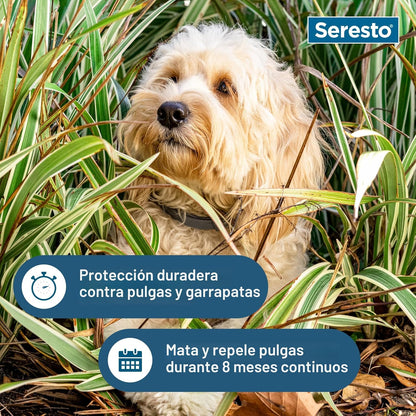 Seresto Collar de pulgas y garrapatas para perros, pulgas de 8 mese...