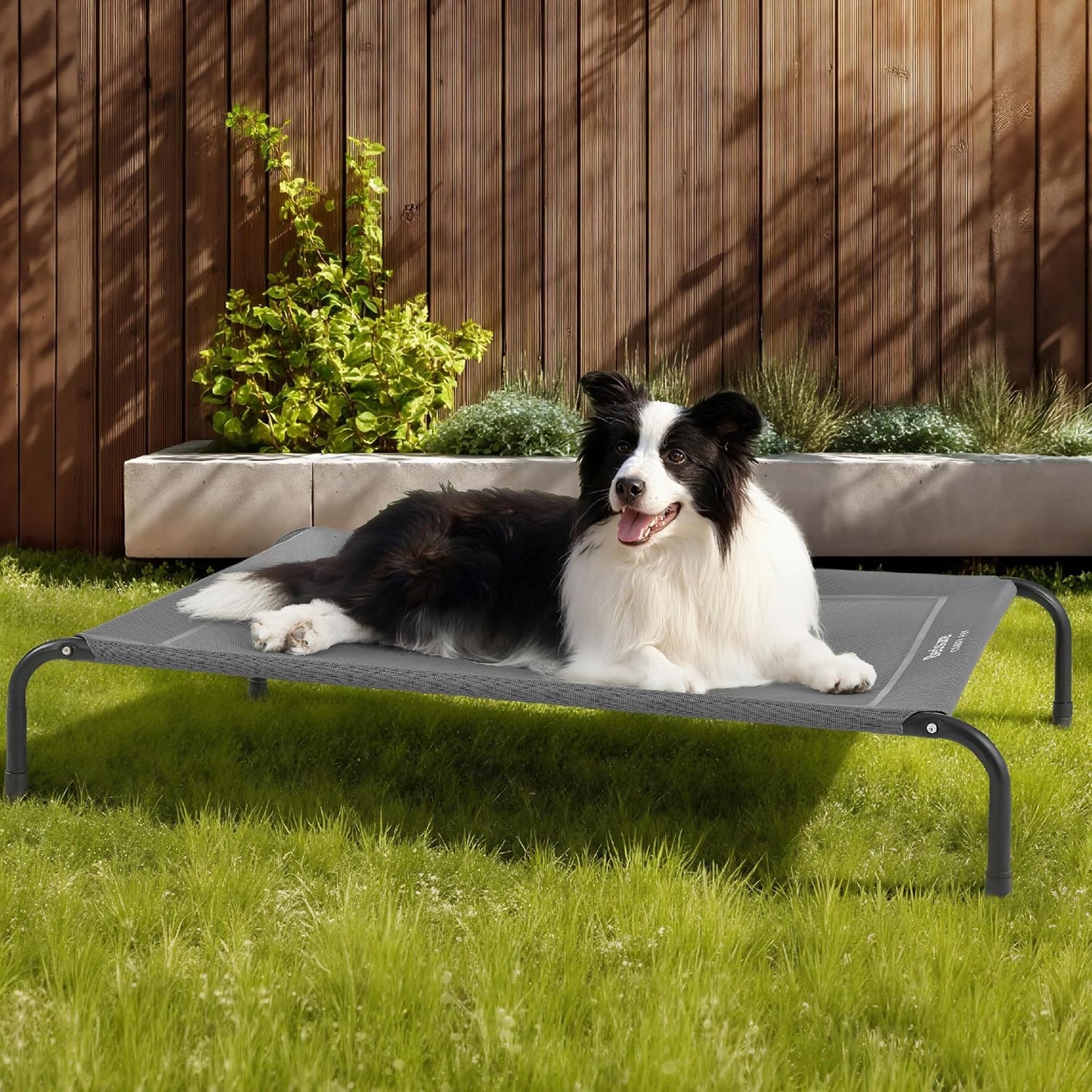 Bedsure - Cama elevada para perros, con patas antideslizantes, marc...
