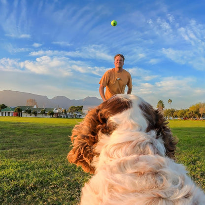 Insta360 GO 3\/GO 3S - Arnés para mascotas, tamaño mediano
