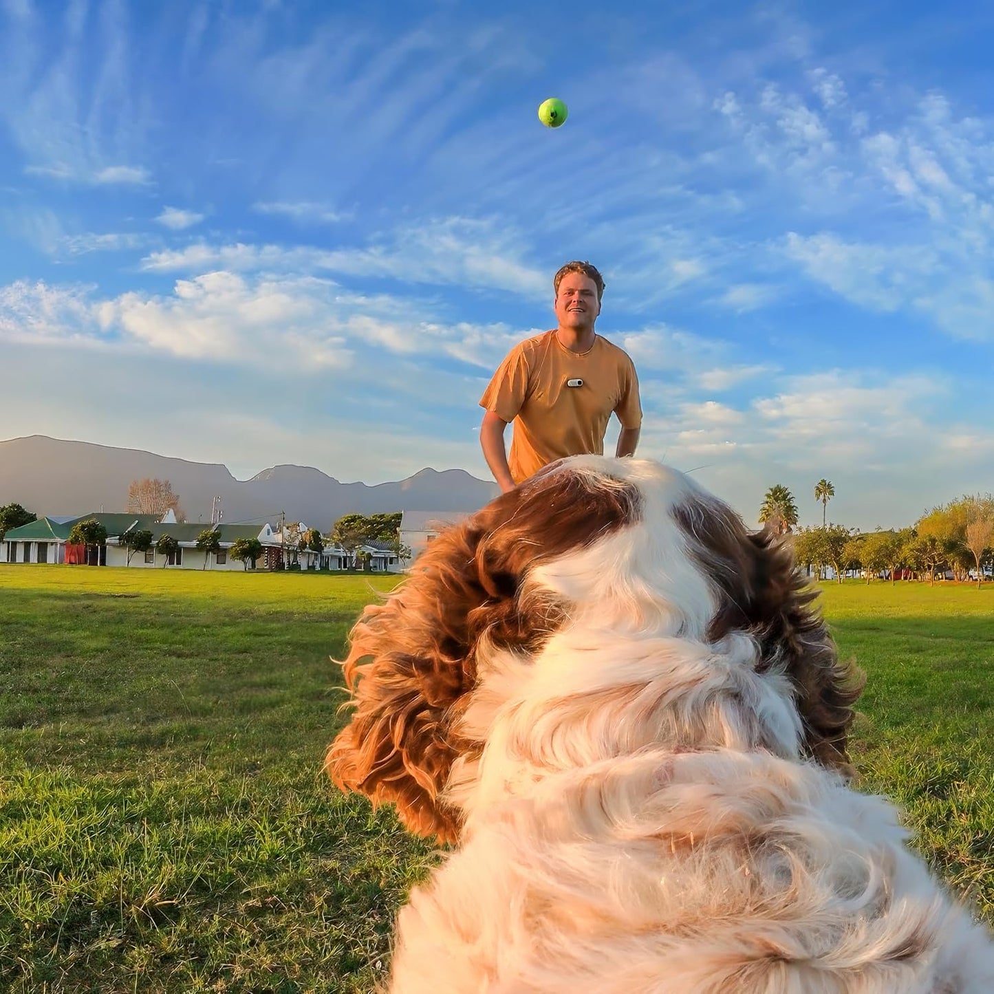 Insta360 GO 3\/GO 3S - Soporte de arnés para mascotas, talla S