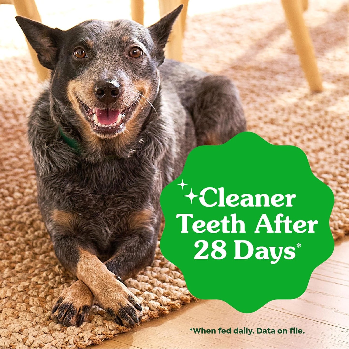 Greenies Dog Dental Chews Aperitivos para perros \u2013 Tamaño regu...