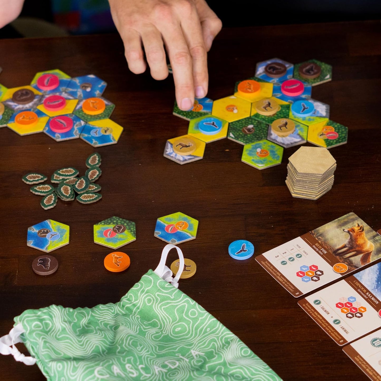 AEG y Flatout Games | Cascadia - Juego de mesa galardonado ambientado en el Noroeste del Pacífico | Fácil de aprender | Rápido de jugar | A partir de 10 años+