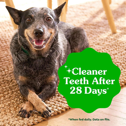 Golosinas dentales para perros recomendadas por veterinarios, tamañ...