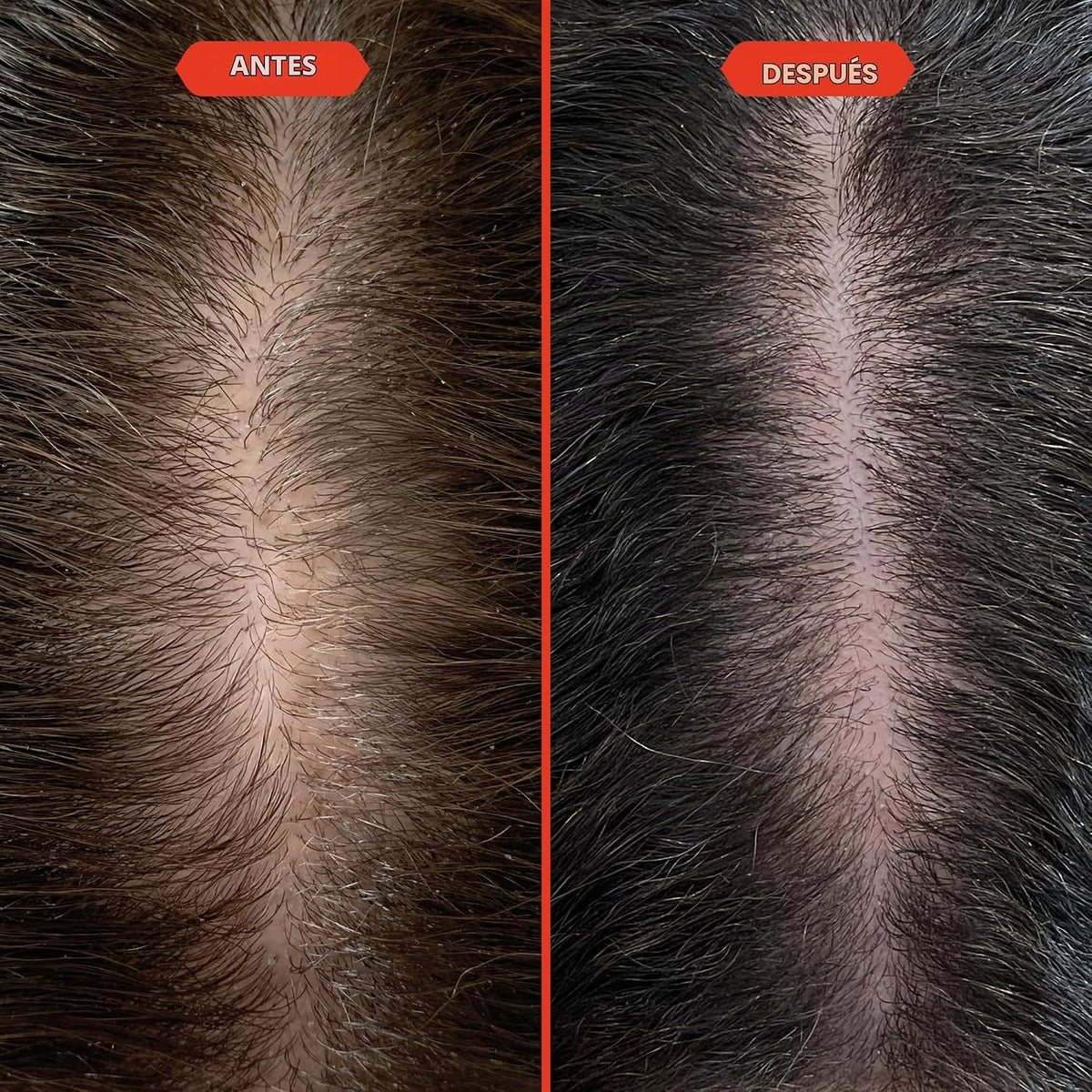 Aceite para el cabello Fable &amp; Mane - Suero fortalecedor HoliRo...