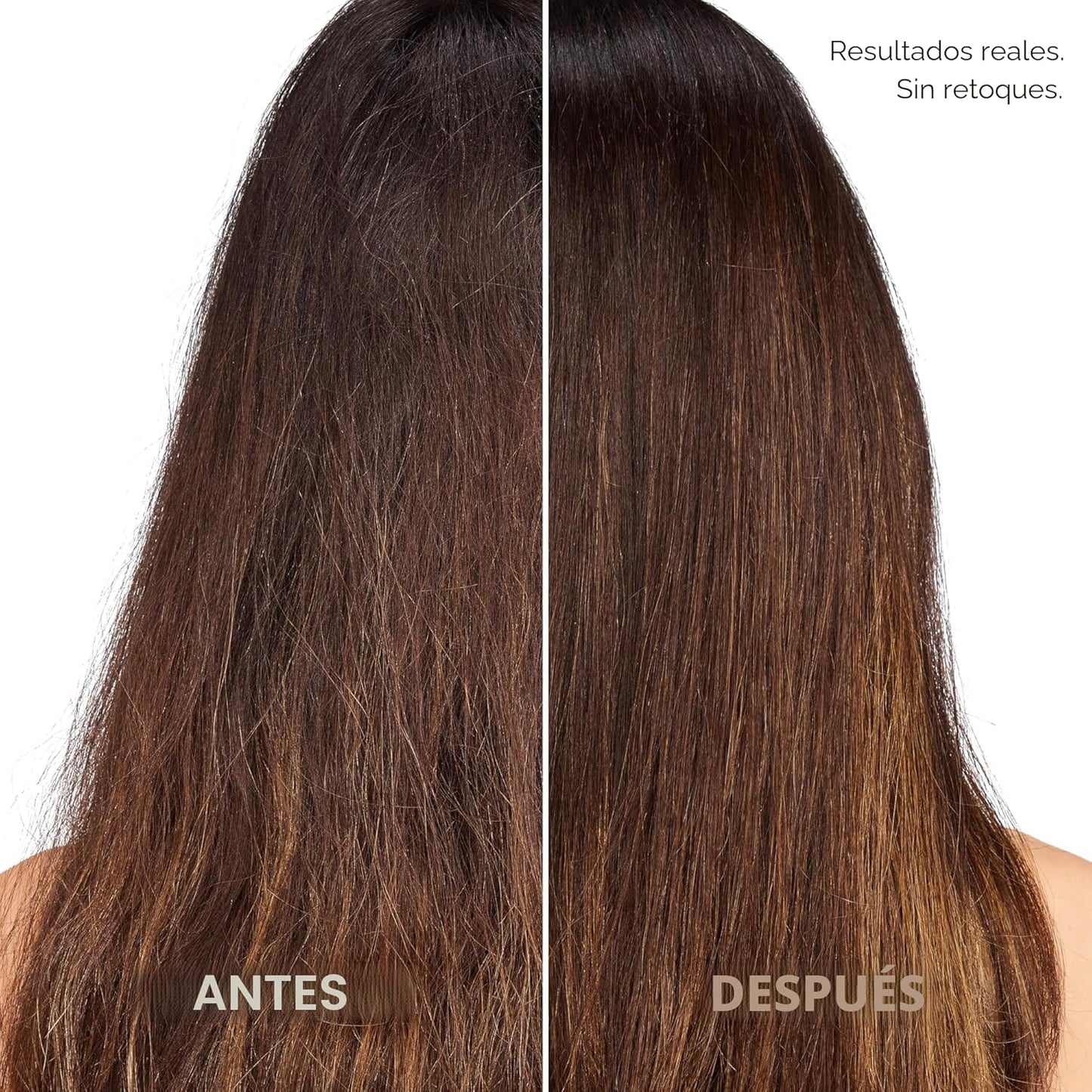L'Oreal Paris Set de Champú y Acondicionador Hidratante Libre d...
