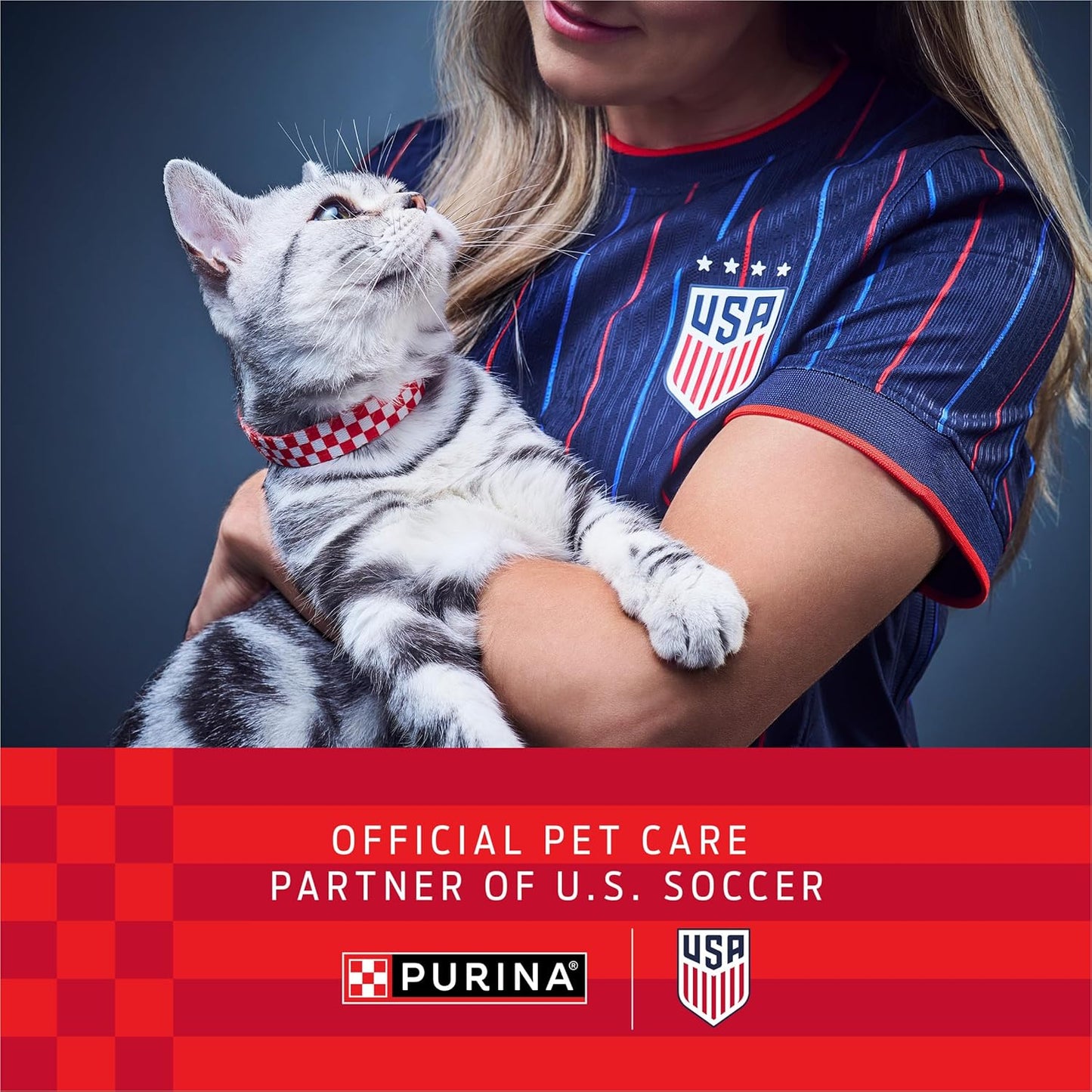 Comida húmeda para gatos de Purina Fancy Feast, paquete de 24 latas...