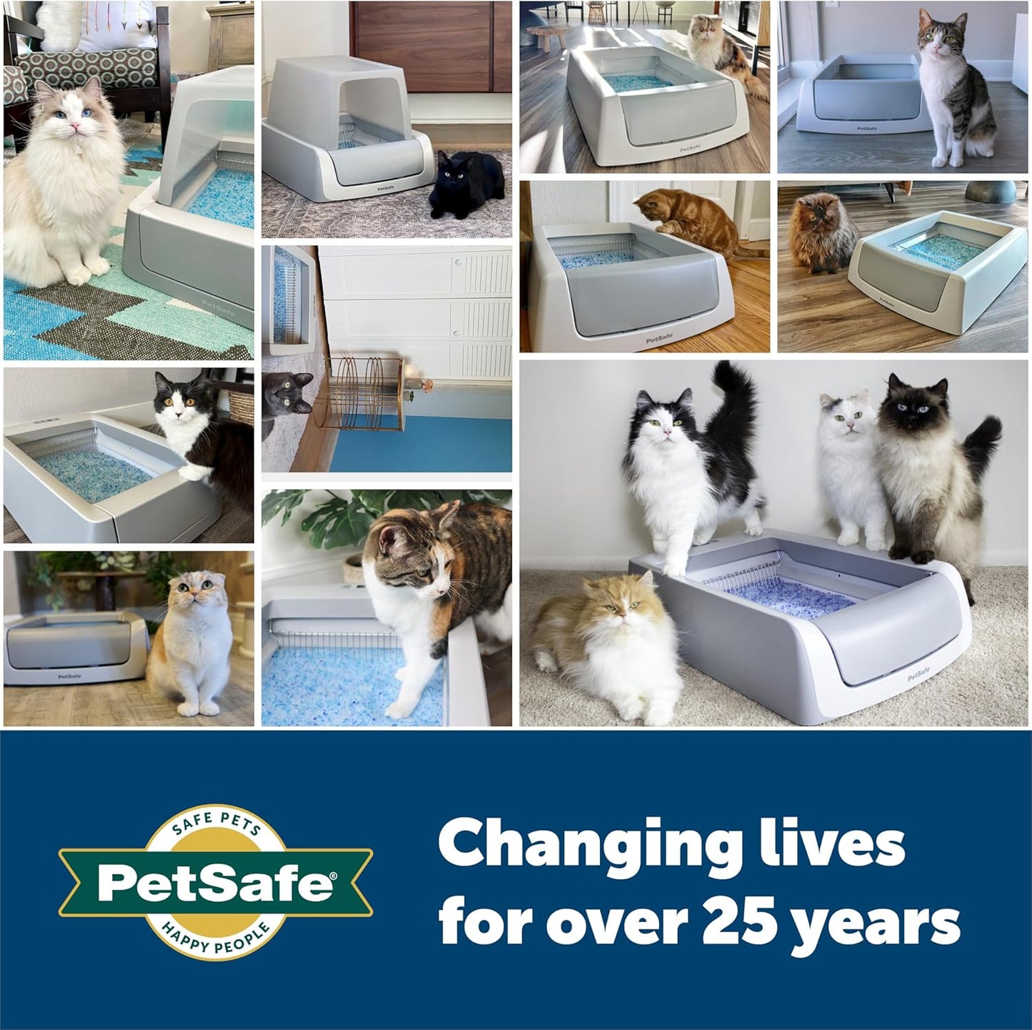 PetSafe ScoopFree Arena de Cristal Premium para Gatos - Supera a la...