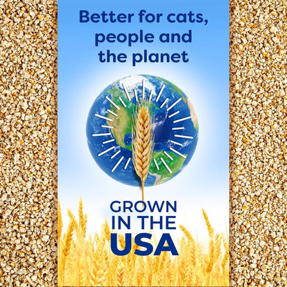 Arena absorbente para gatos sWheat Scoop Multi-cat, todo natural