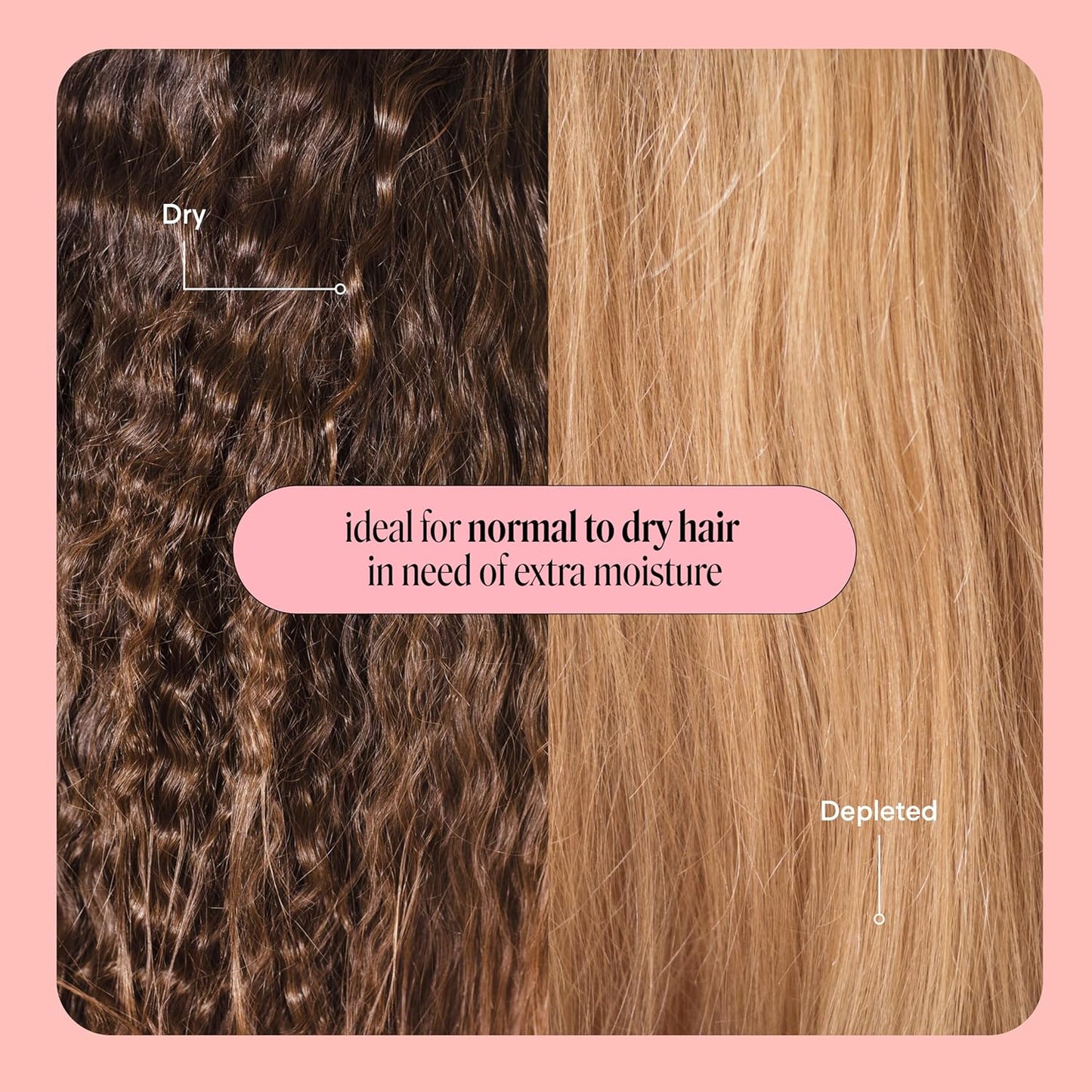 MONDAY HAIRCARE Champú hidratante + acondicionador para cabello seco, grueso, estresado y encrespado, hecho con aceite de coco, proteína de arroz, manteca de karité y vitamina E, todo natural, 12