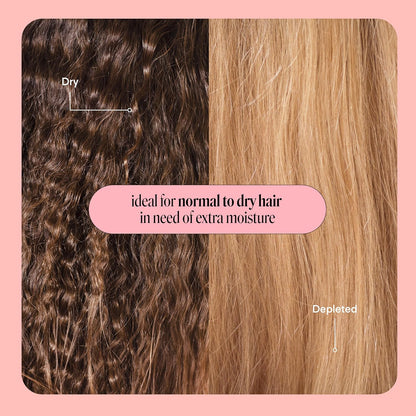 MONDAY HAIRCARE Champú hidratante + acondicionador para cabello seco, grueso, estresado y encrespado, hecho con aceite de coco, proteína de arroz, manteca de karité y vitamina E, todo natural, 12