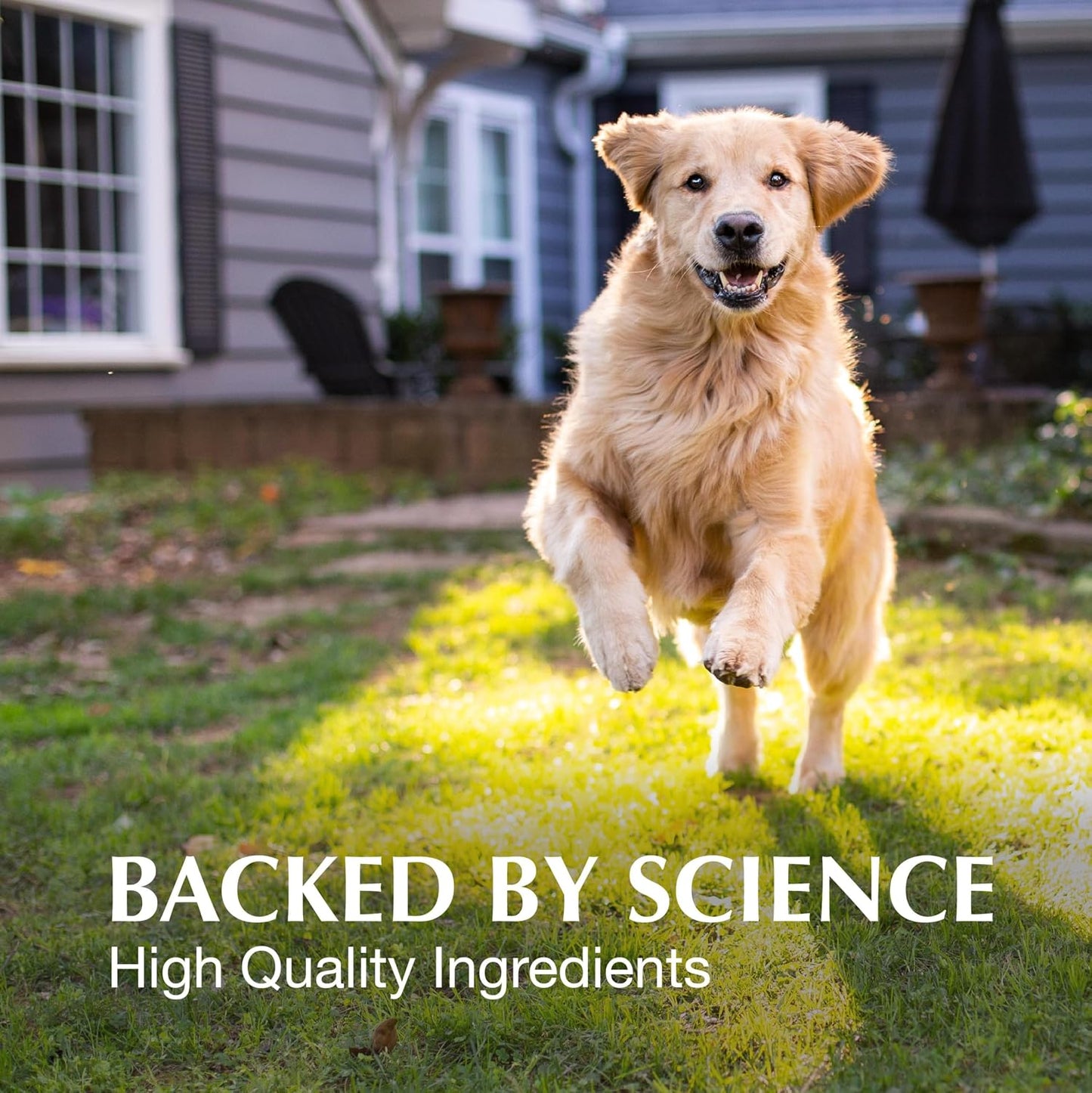 Nutramax Laboratories Crananidin Extracto de Arándano Suplemento pa...