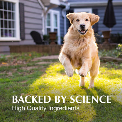 Nutramax Laboratories Crananidin Extracto de Arándano Suplemento pa...