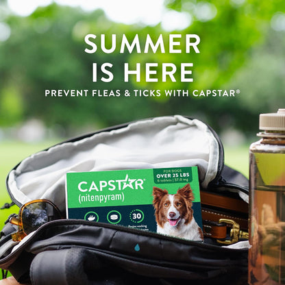 Capstar (nitenpyram) para perros, tratamiento oral de pulgas de acc...