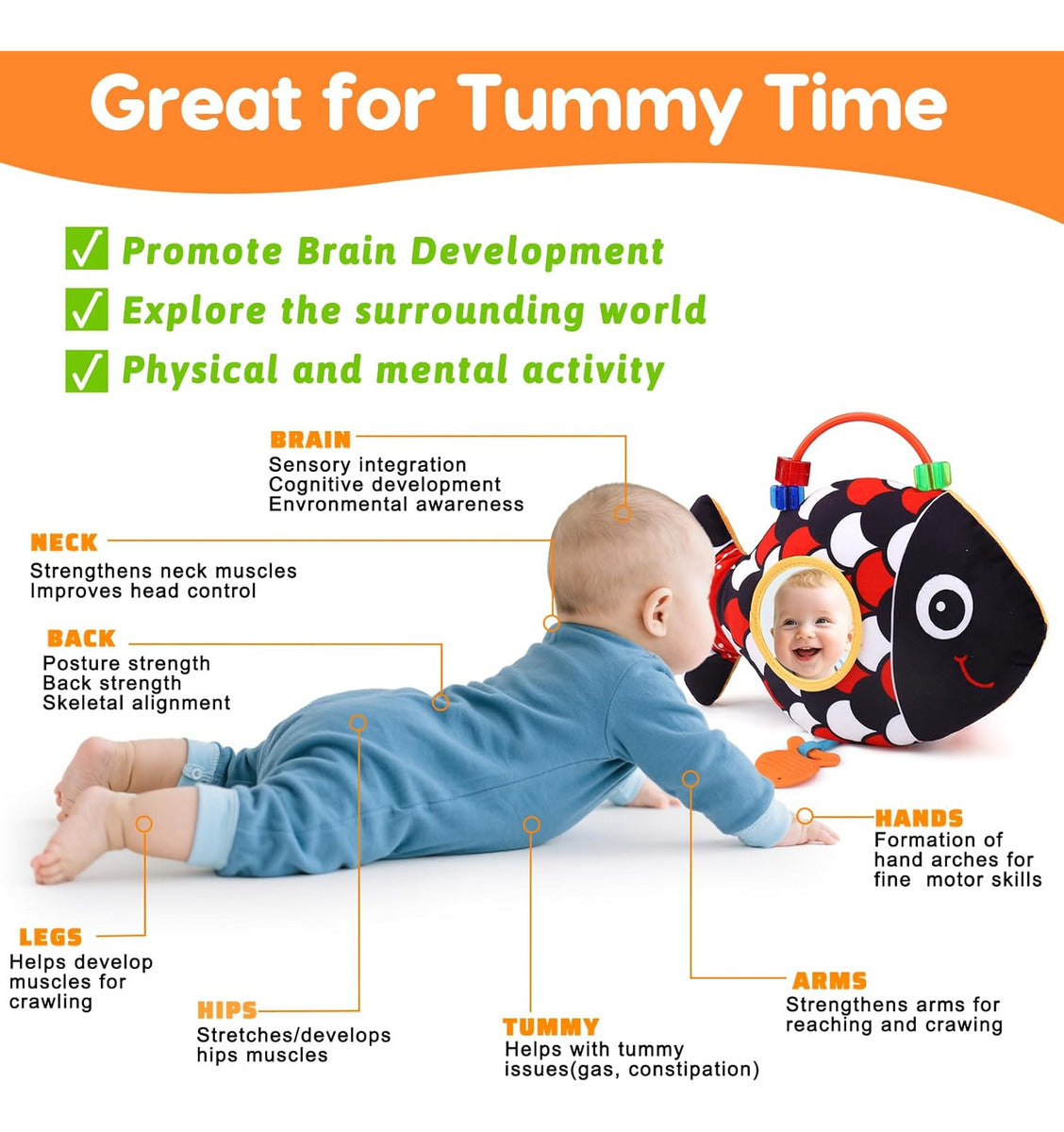 Juguetes Sensoriales Para Bebés De 0 A 6 Meses, Juguete Mus